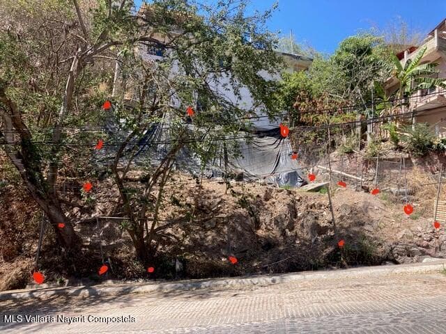 Lote Allende