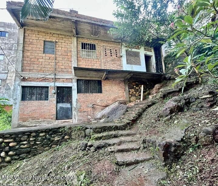 Naranjo 359