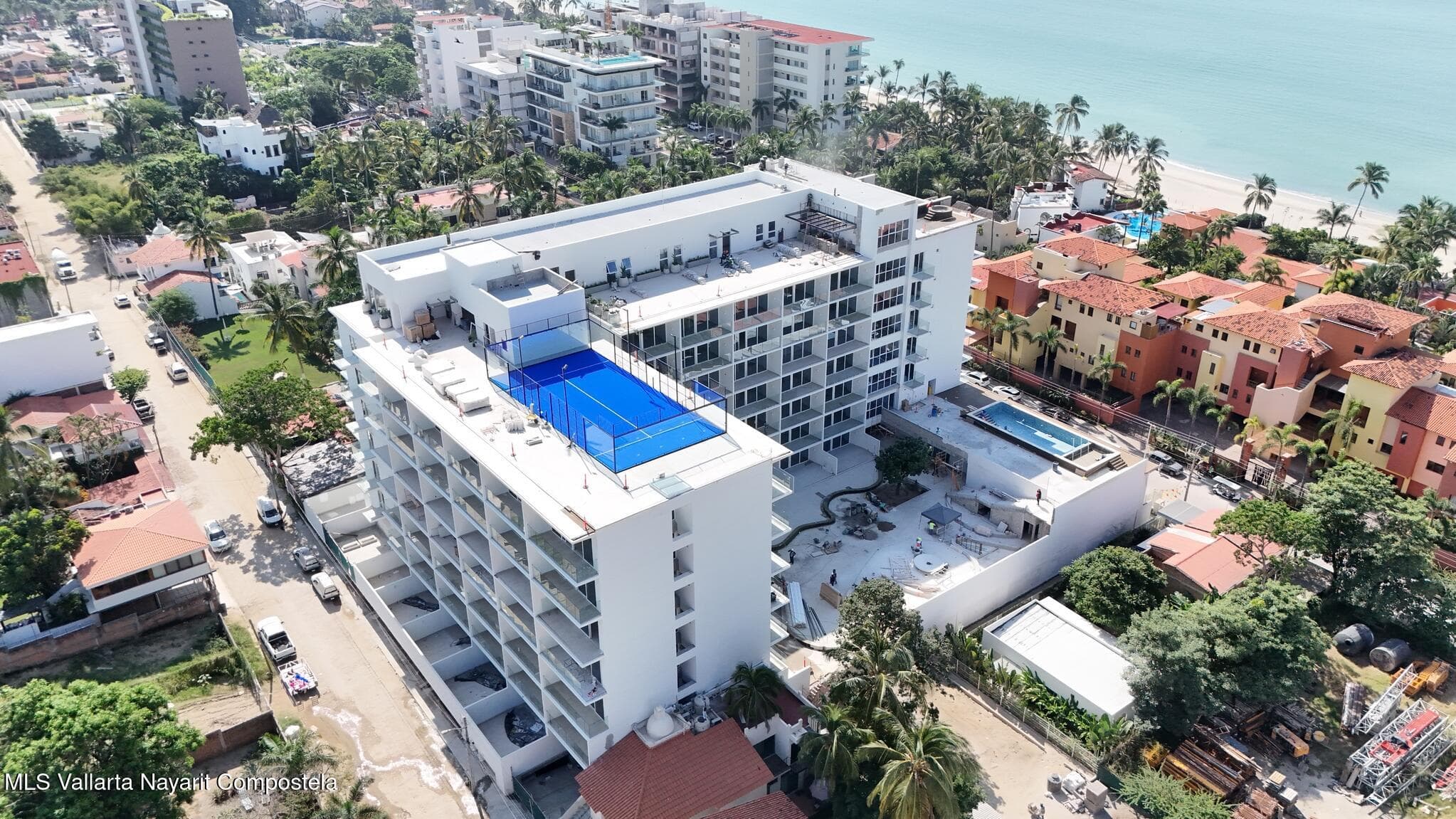 Jacana Ocean Life